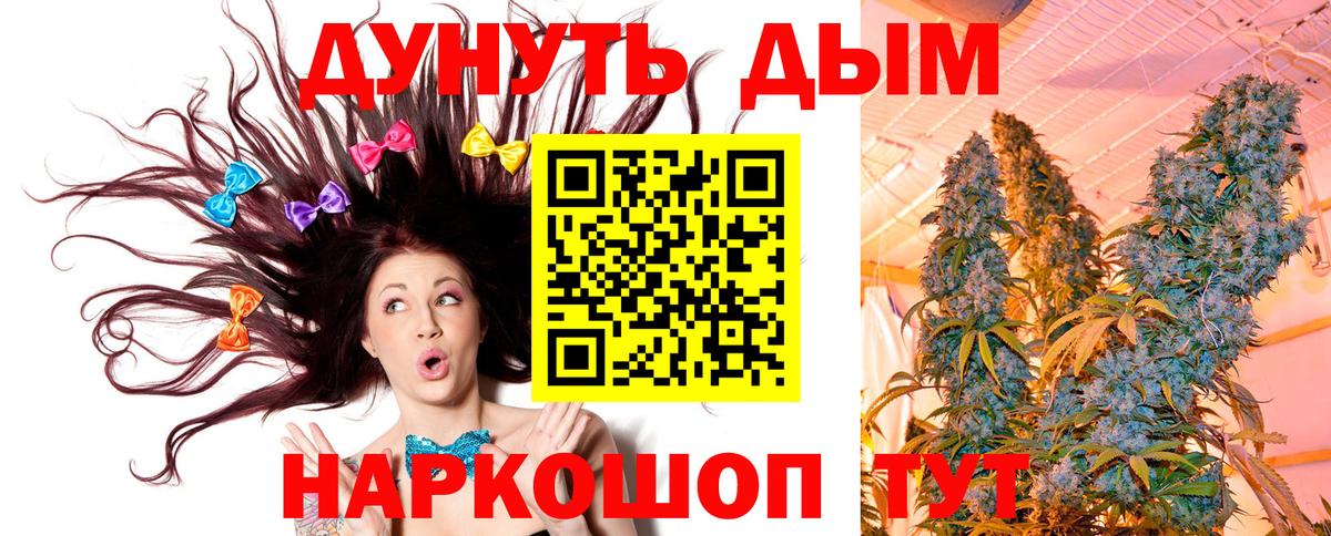 Каннабис сатива Советск